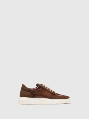 Brown Lace-up Shoes